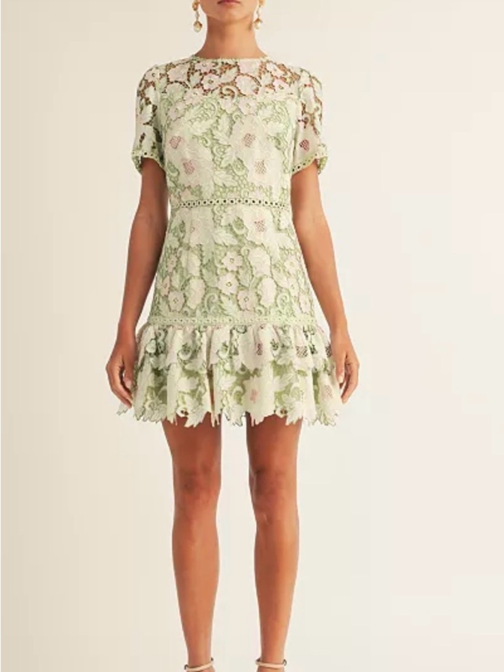 NWT Floral Lace Mini Dress in Sage Green Sz large